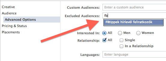 Facebook hirdetések saját közönségnek (Custom Audiences)