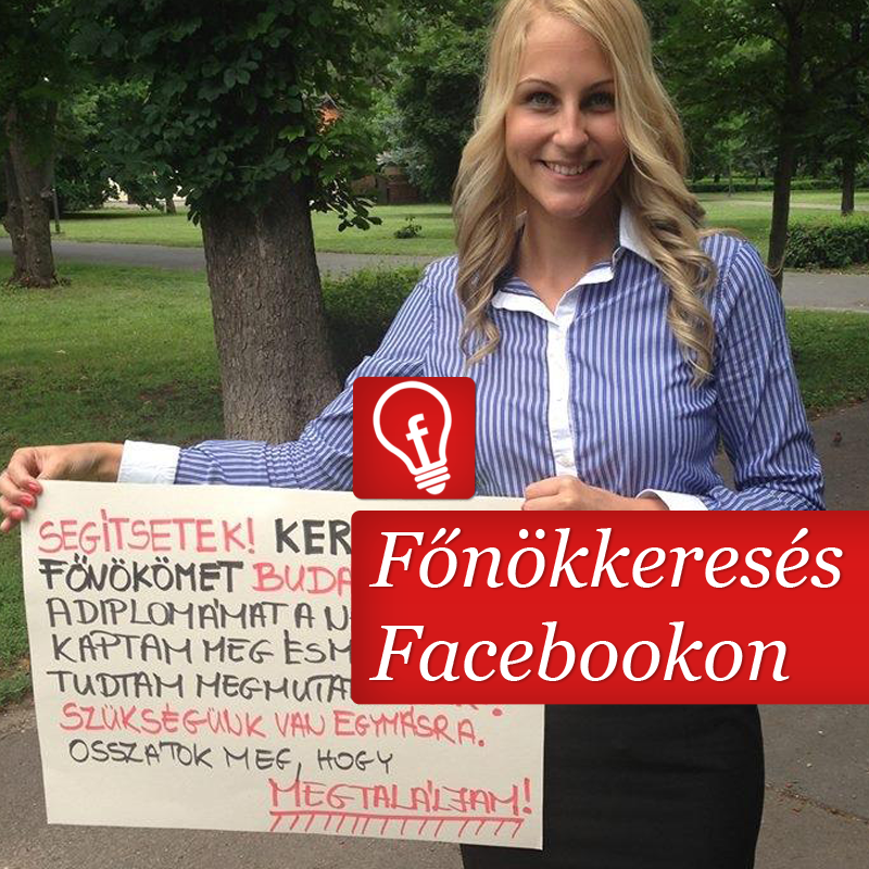 Diplomás lány keresi jövendőbeli főnökét a Facebookon